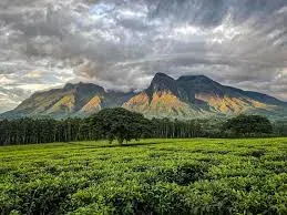 Malawi Mountains